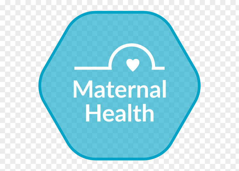 Maternal Death Health Care Clinic System Nursing Patient PNG