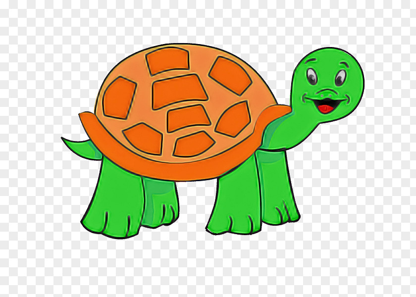 Tortoise Green Turtle Cartoon Reptile PNG