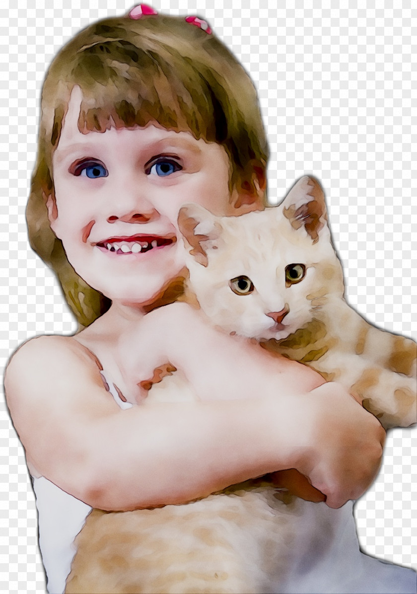Domestic Short-haired Cat Whiskers Nose Infant PNG
