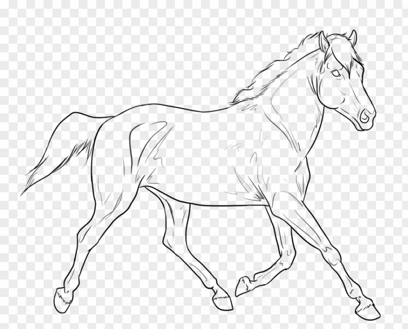 Mustang Pony Bridle Foal American Miniature Horse PNG
