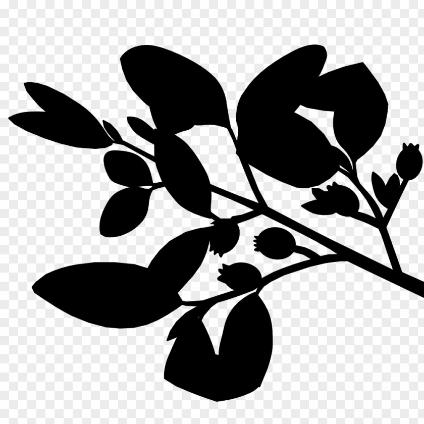 Pedicel Twig Black And White Flower PNG