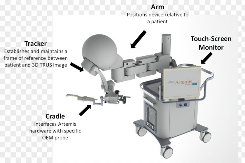 Prostate Gland Transrectal Ultrasonography Magnetic Resonance Imaging Medical Artemis PNG