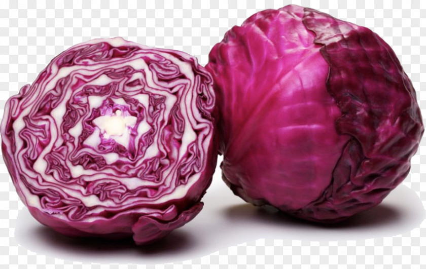 Vegetable Red Cabbage Capitata Group Brussels Sprout Mulberry PNG