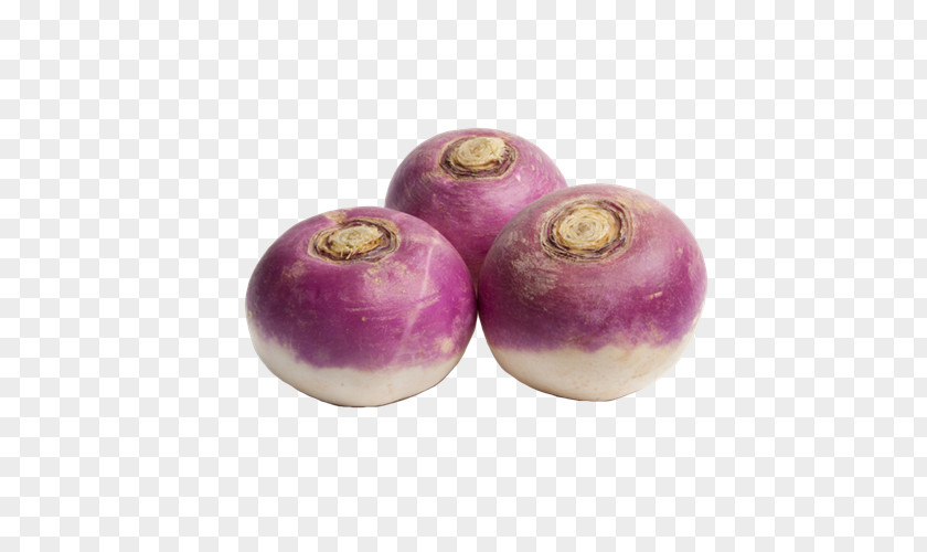 Vegetable Turnip Foftpool Sa Food Rutabaga PNG