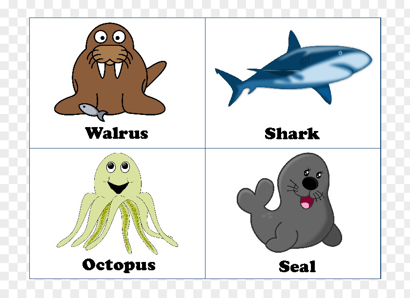 Animals Vocabulary For Kids Marine Mammal Lesson Plan Education Ocean PNG