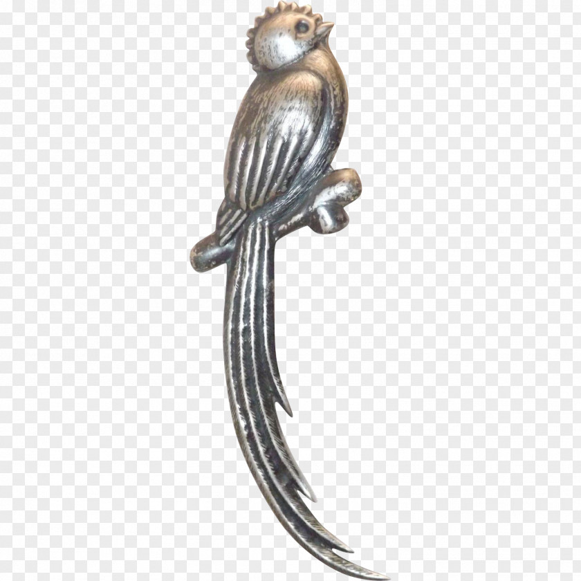 Brooch Bird Of Prey Beak Feather Body Jewellery PNG