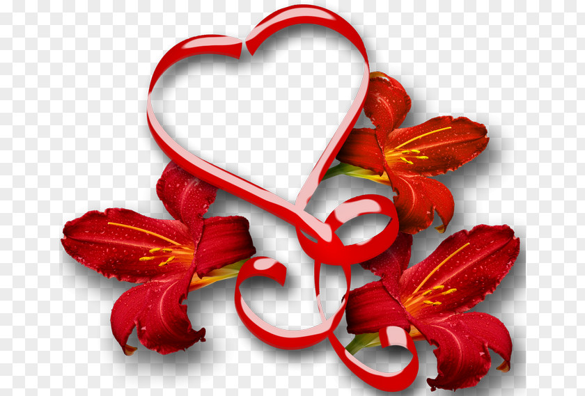 валентина Valentine's Day Love Vinegar Valentines 14 February Holiday PNG