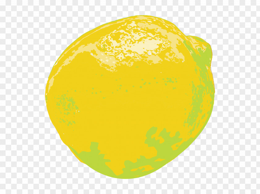 Beauty Of Fresh Lemon Citron Drawing Illustration PNG