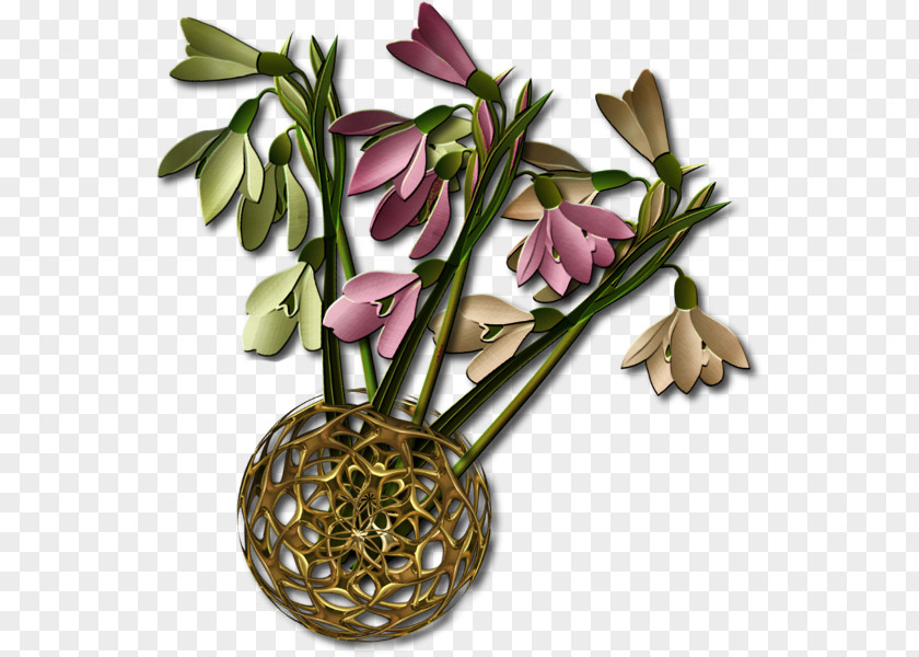 Floral Design Floraison Animation PNG