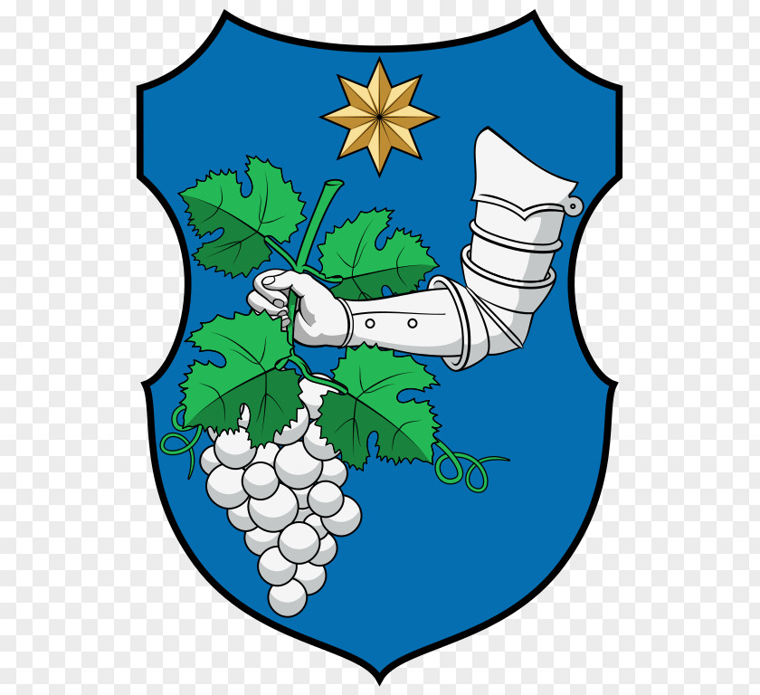 Forró Coat Of Arms Reneszánsz Pajzs Forró, Northern Hungary Escutcheon Figura PNG