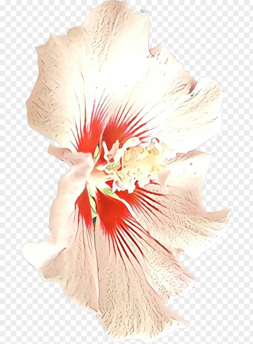 Mallow Family Flowering Plant Hibiscus Hawaiian Flower Cut Flowers PNG