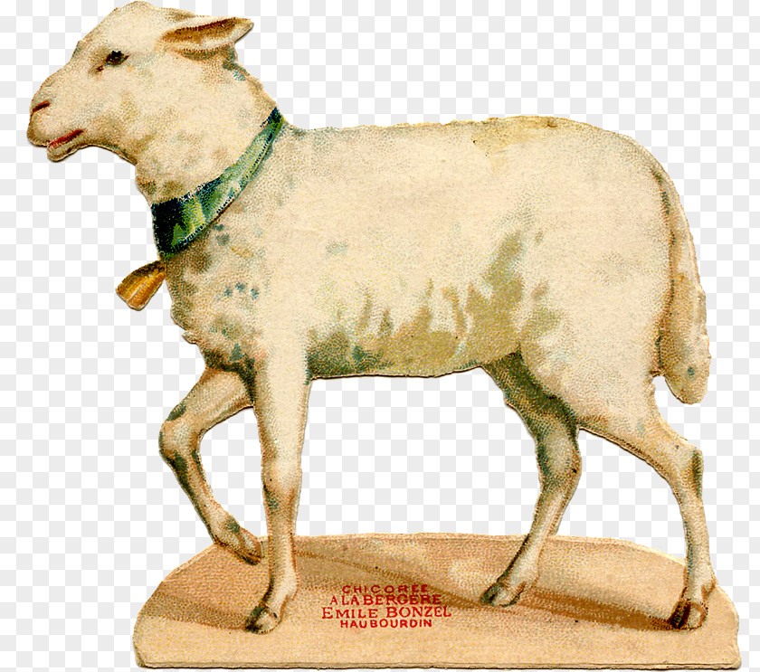 Sheep Easter Bunny Goat Lamb And Mutton PNG
