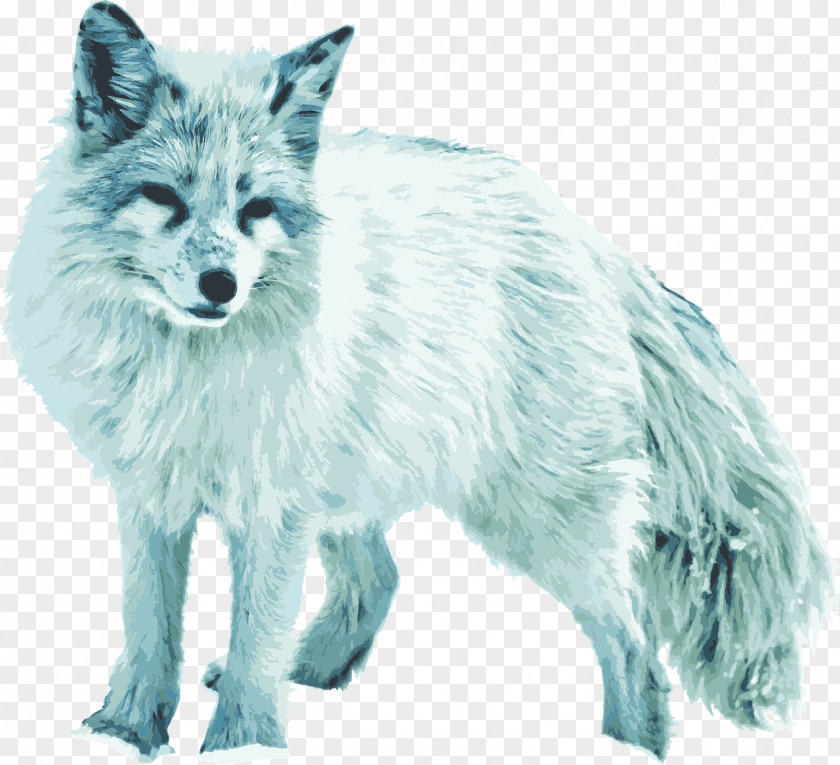 Arctic Fox kit Red Image PNG