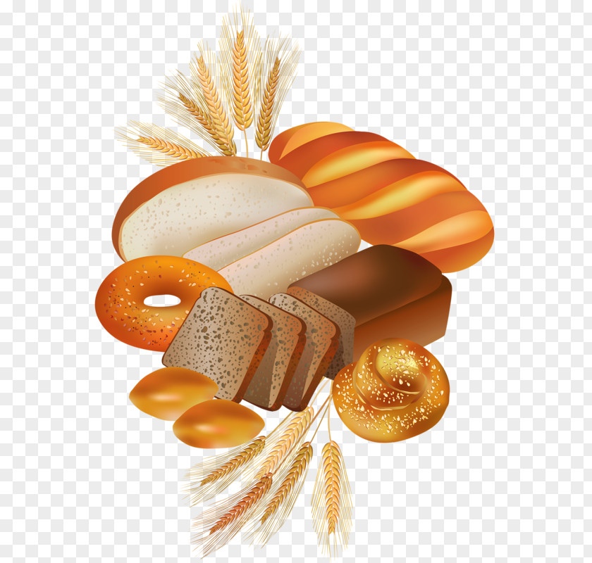Bakery Vector Rye Bread Bagel Croissant PNG
