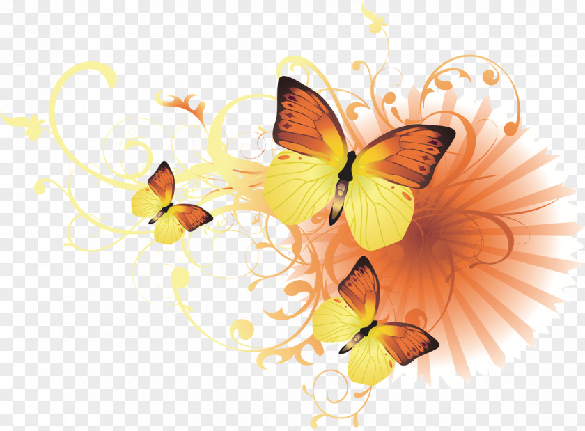 Butterfly Desktop Wallpaper Clip Art PNG