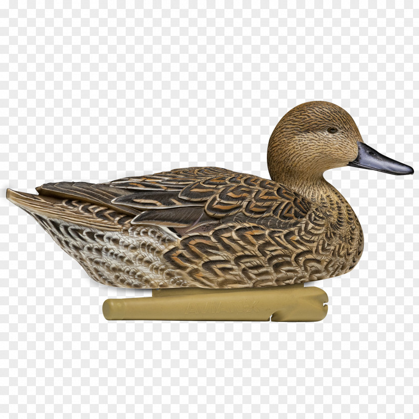 Duck Mallard Decoy Northern Pintail PNG