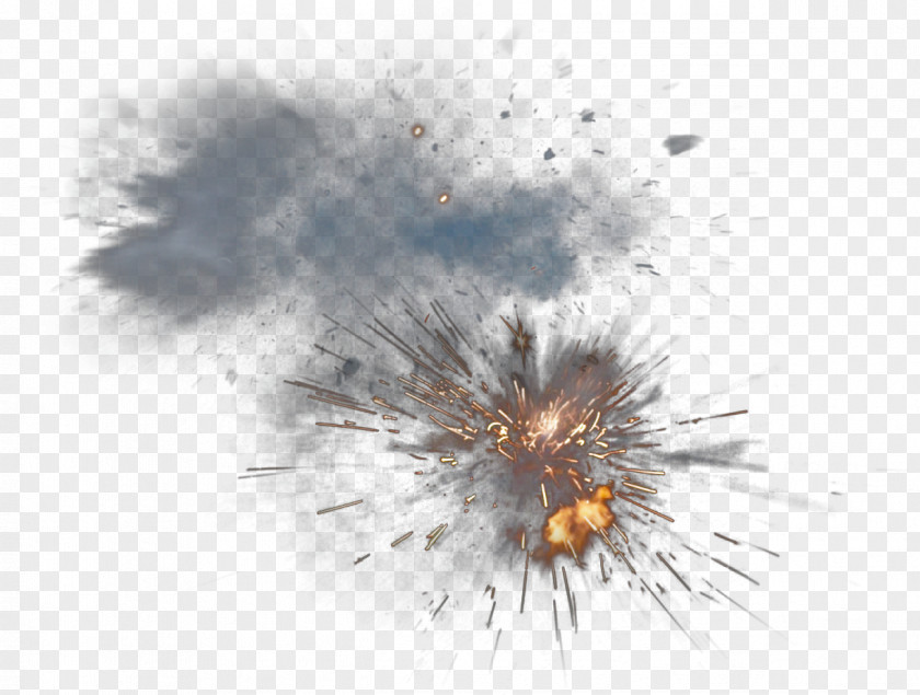 Explosion Insect Close-up Sky Pest Wallpaper PNG