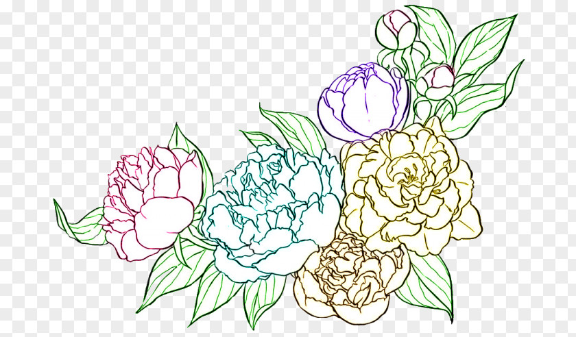Flower Line Drawing Peony Coloring Book Art PNG