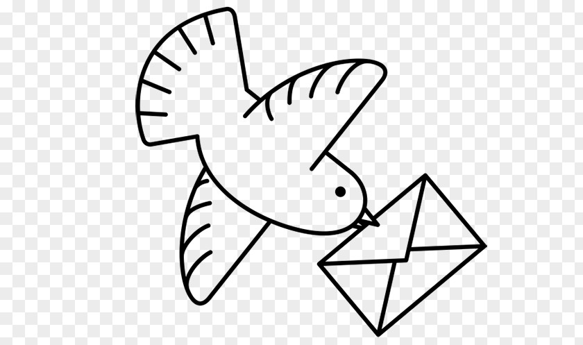 Bird Homing Pigeon Rock Dove Drawing Coloring Book PNG