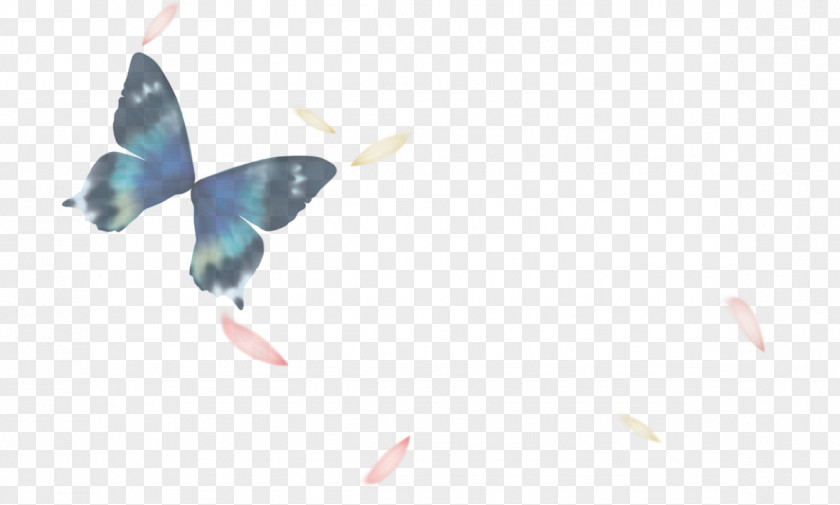 Butterfly Watercolor Painting Designer PNG
