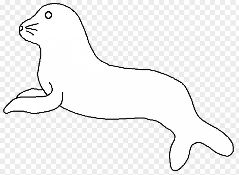 Dog Whiskers Sea Lion Mammal Cat PNG
