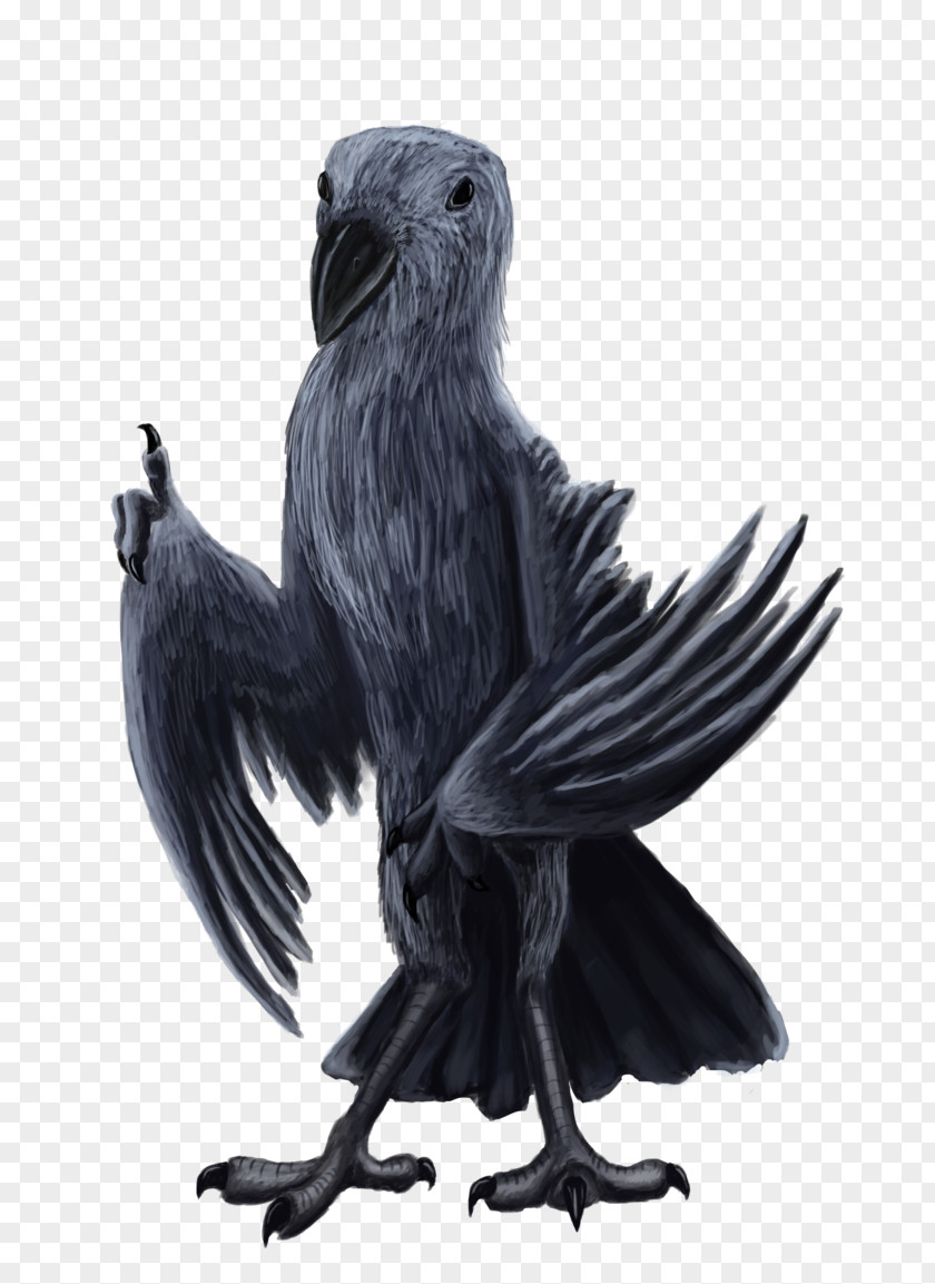 Eagle American Crow Common Raven Vulture Beak PNG