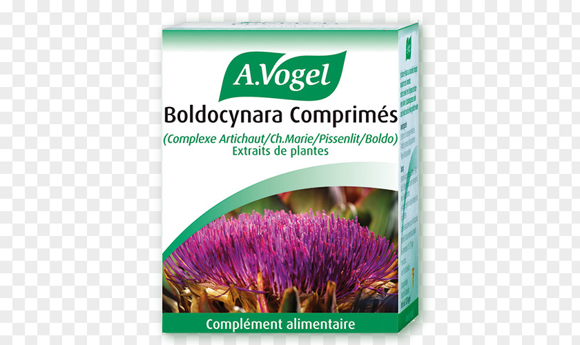 Flower Flowering Plant A Vogel Liver Gallbladder Drops Brand PNG