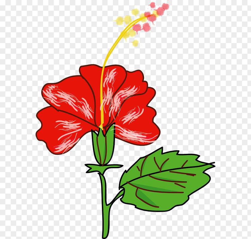 Picture Of Hibiscus Plant Shoeblackplant Flower Hawaiian Drawing Clip Art PNG