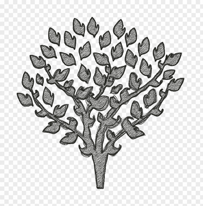 Tree With Thin Branches Covered By Leaves Icon Nature PNG