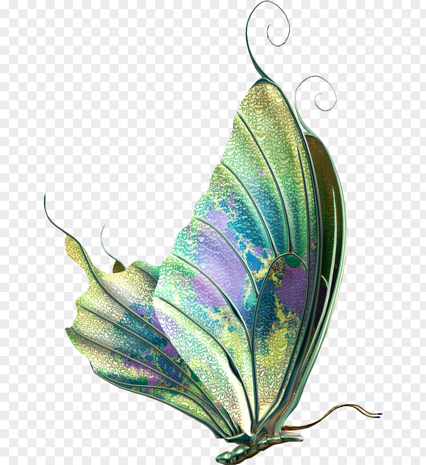 Watercolor Butterfly Insect PNG