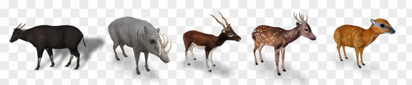 Zoo Tycoon 2 2: African Adventure Antelope Even-toed Ungulates Animal PNG