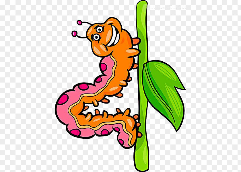 Cartoon Bark Caterpillar Insect Illustration PNG
