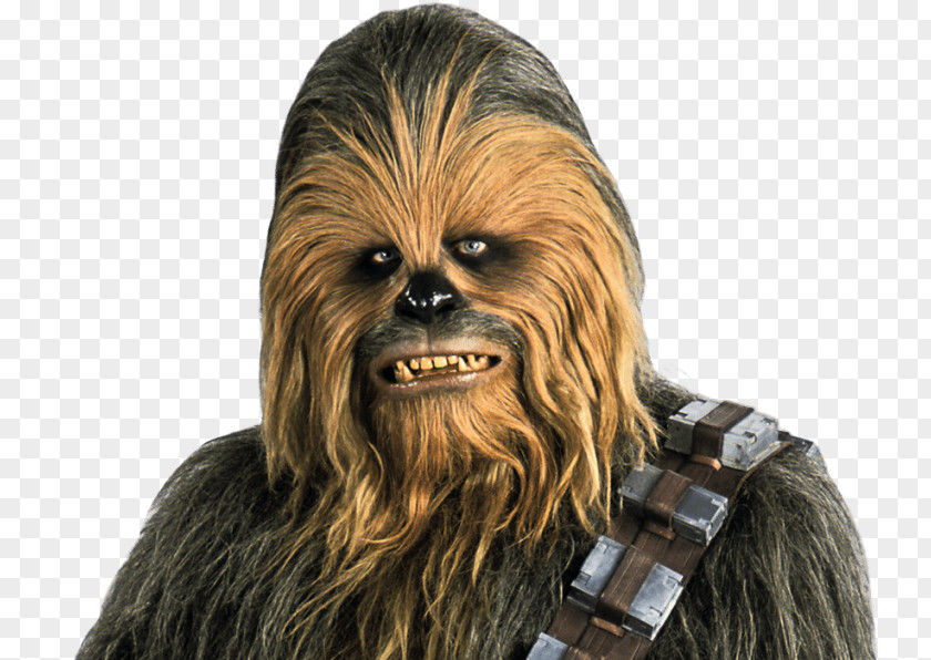 Chewbacca Anakin Skywalker Han Solo Obi-Wan Kenobi Luke PNG