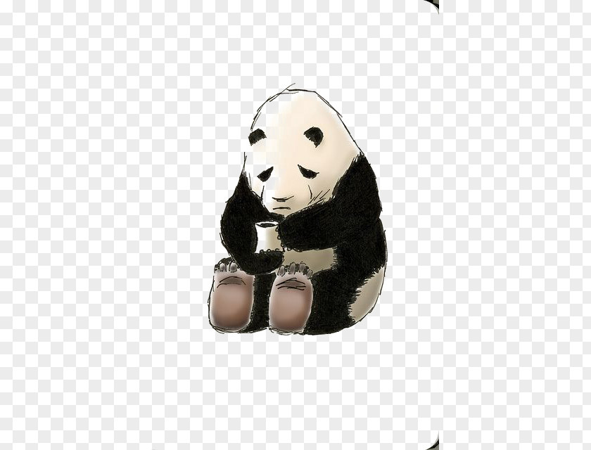 Drawing Panda Giant Asian Black Bear United States T-shirt PNG