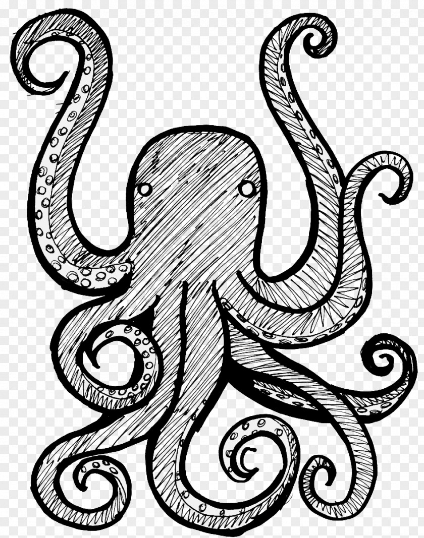 Octapus Octopus Drawing Clip Art PNG