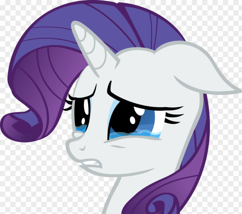 Sad Pictures Of People Crying Rarity Rainbow Dash Pinkie Pie Applejack Twilight Sparkle PNG