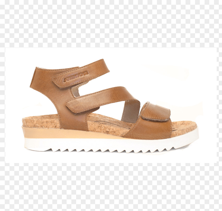 Sandal Stan's Fit For Your Feet Shoe Birkenstock Brand PNG