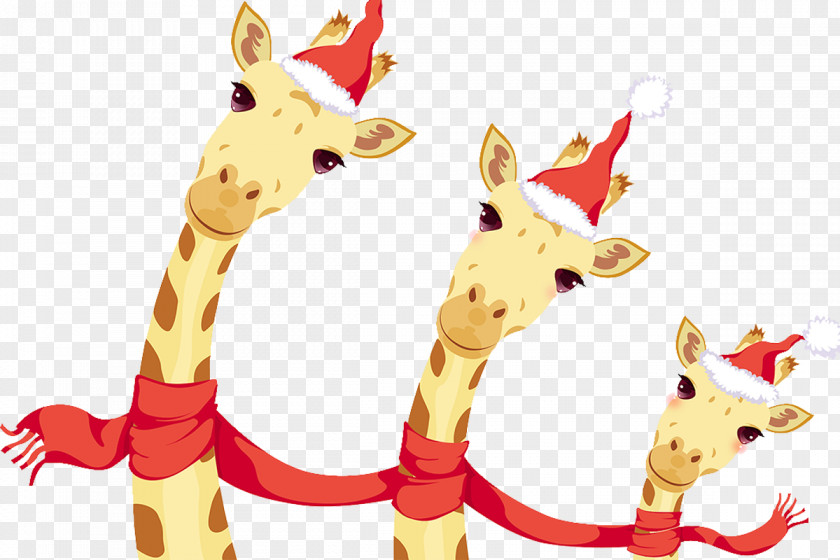 Christmas Giraffe Northern Southern Illustration PNG