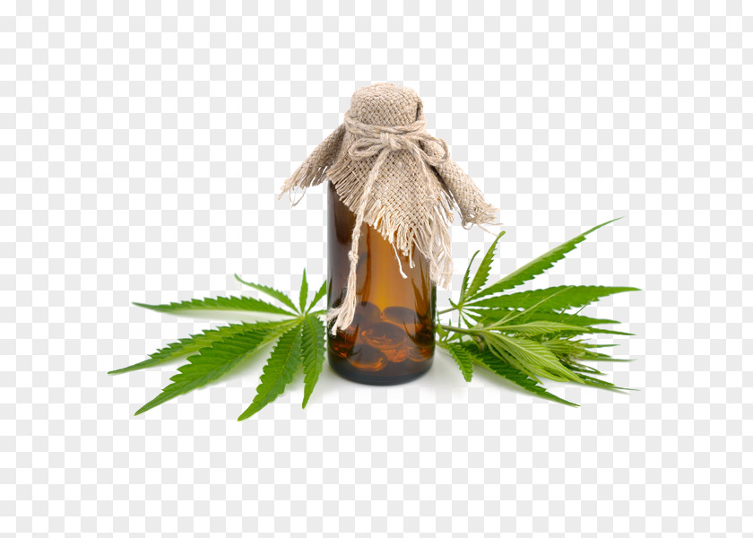 Hemp Cannabidiol Oil Medical Cannabis PNG