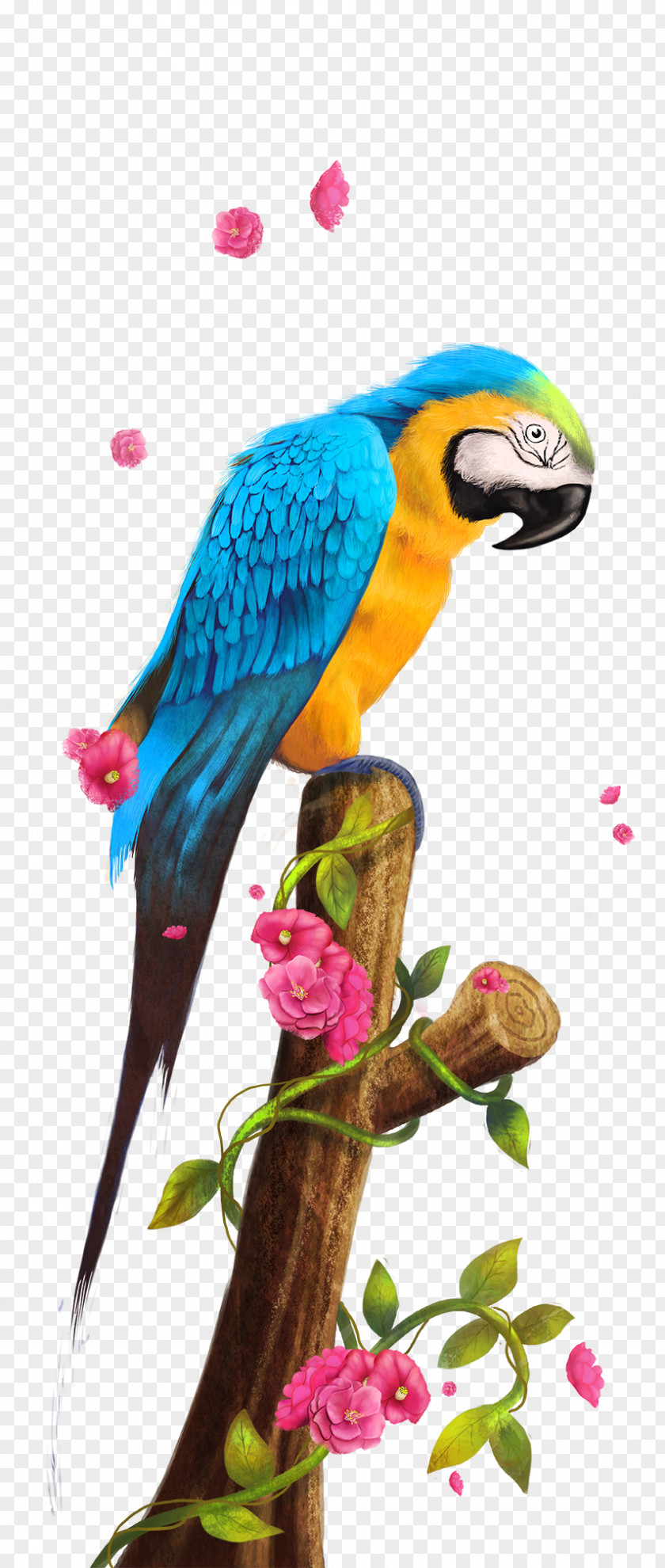 Parrot Bird Paper PNG