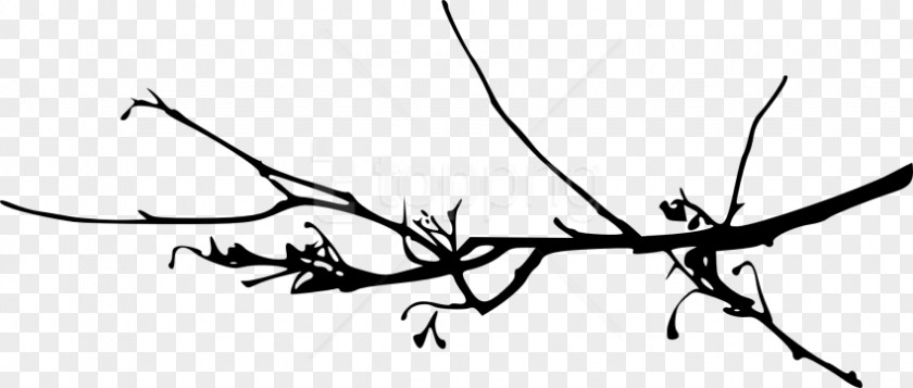 Vine Silhouette Branch Leaf Twig PNG