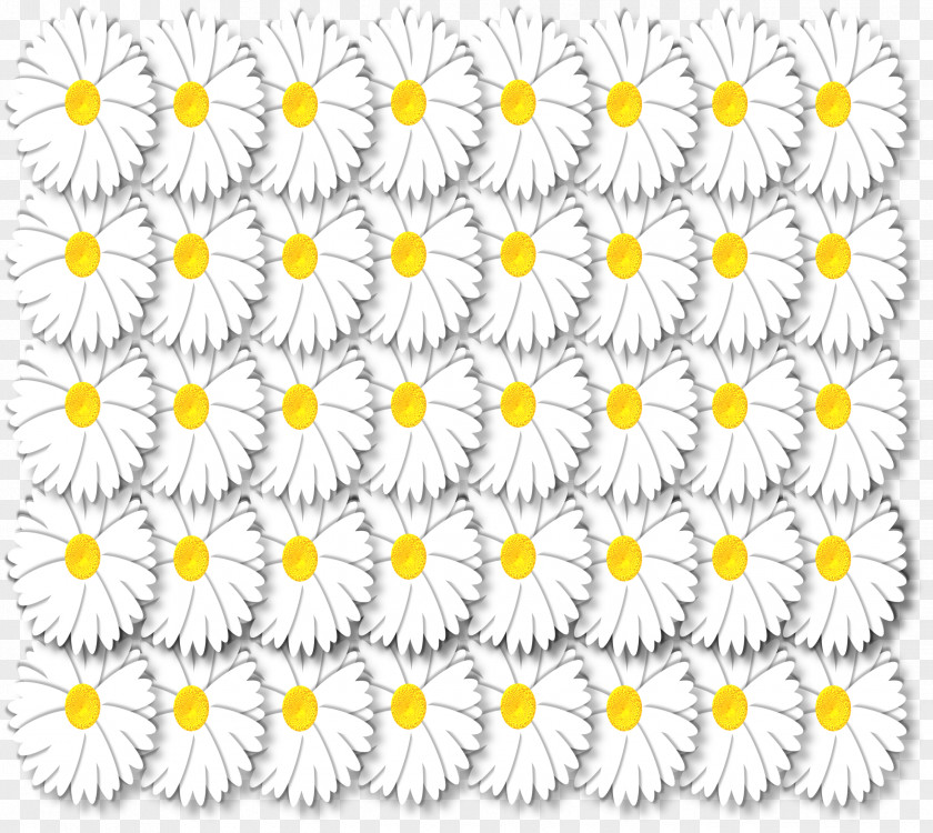 Chrysanthemum Floral Design Oxeye Daisy Cut Flowers PNG