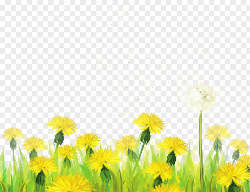 Dandelion Paper Clip Art PNG