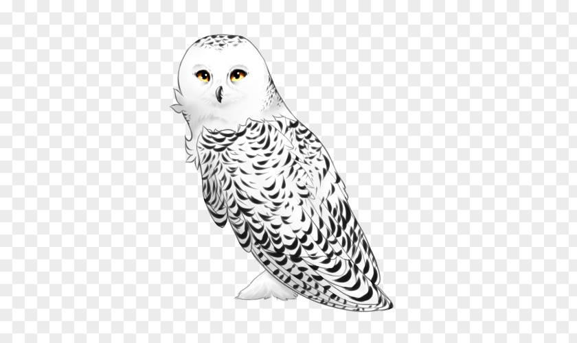 Harry Potter Owl Hedwig Flying Snowy Masala Chai Animal Digital Art PNG
