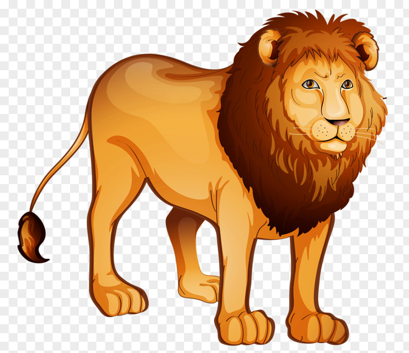 Lion The King Tiger Felidae PNG