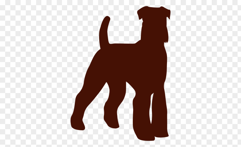 Puppy Dog Breed Irish Terrier Companion Miniature Schnauzer PNG