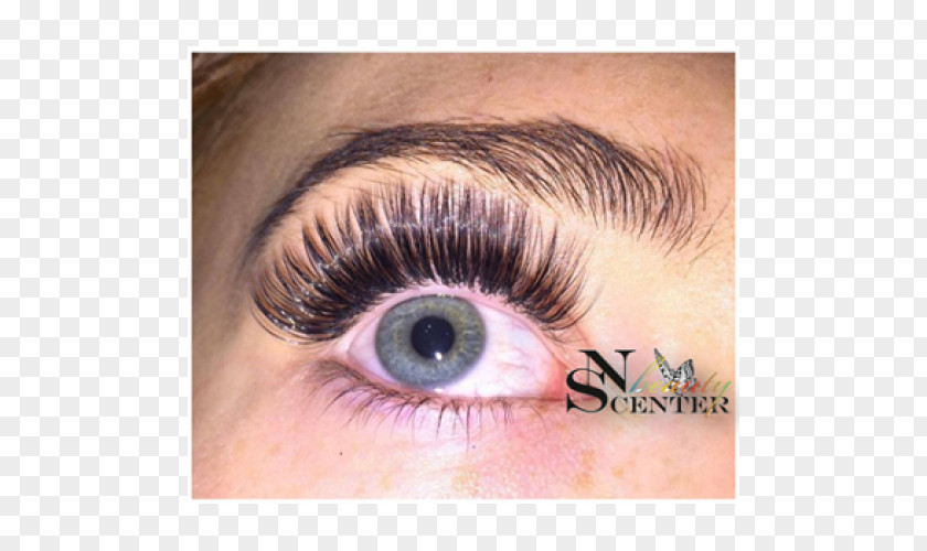 Bigli Migli Eyelash Extensions BLINK Lash & Beauty Eye Liner Cosmetics PNG