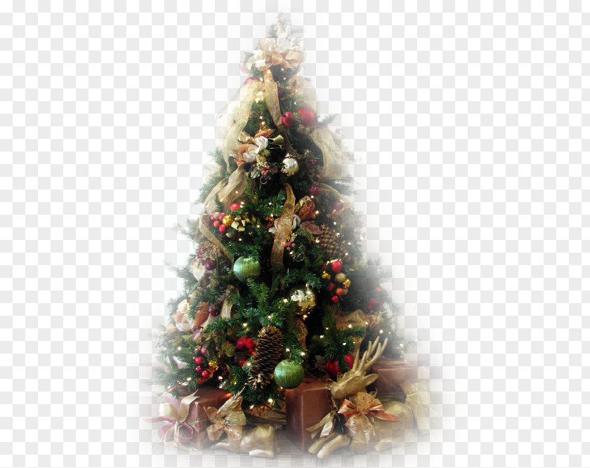 Christmas Tree Ornament Fir Santa Claus PNG