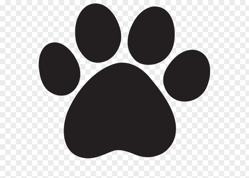 Dog Tiger Cougar Paw PNG