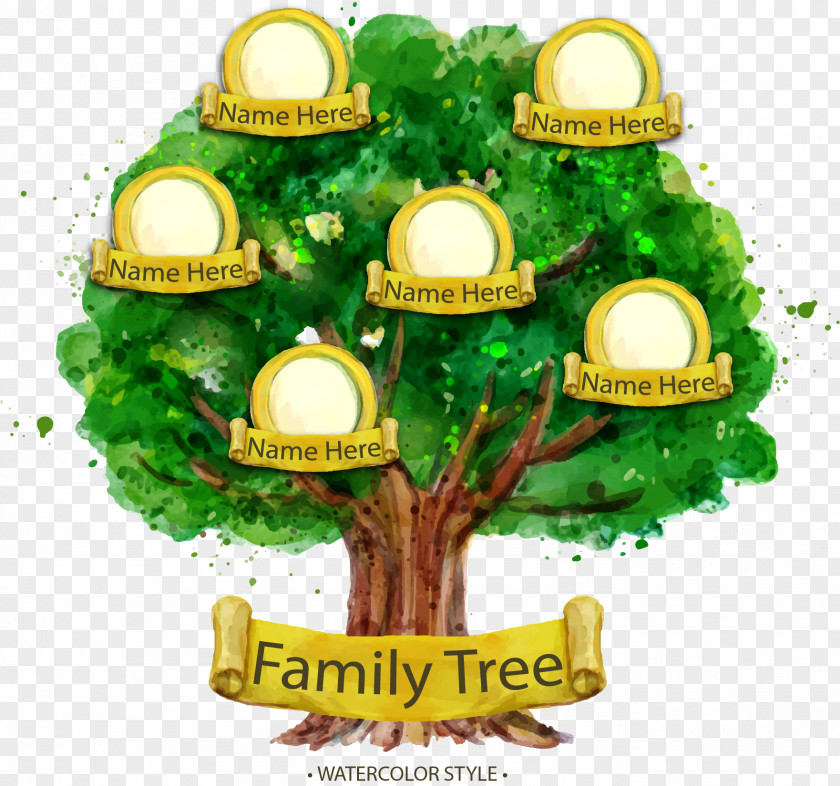 Hand Painted Watercolor Family Tree Genealogy Illustration PNG